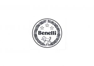 Nálepka Logo Benelli 05533P16WS05 ( 12 )